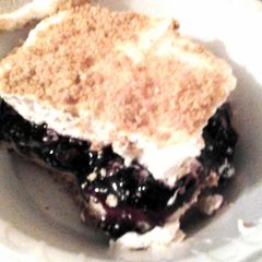 A picture of My Moms blueberry stuff.