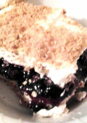 A picture of My Moms blueberry stuff.