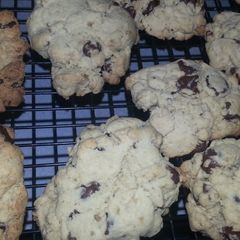 Gluten free chocolate chip cookies A picture of Gluten free chocolate chip cookies.