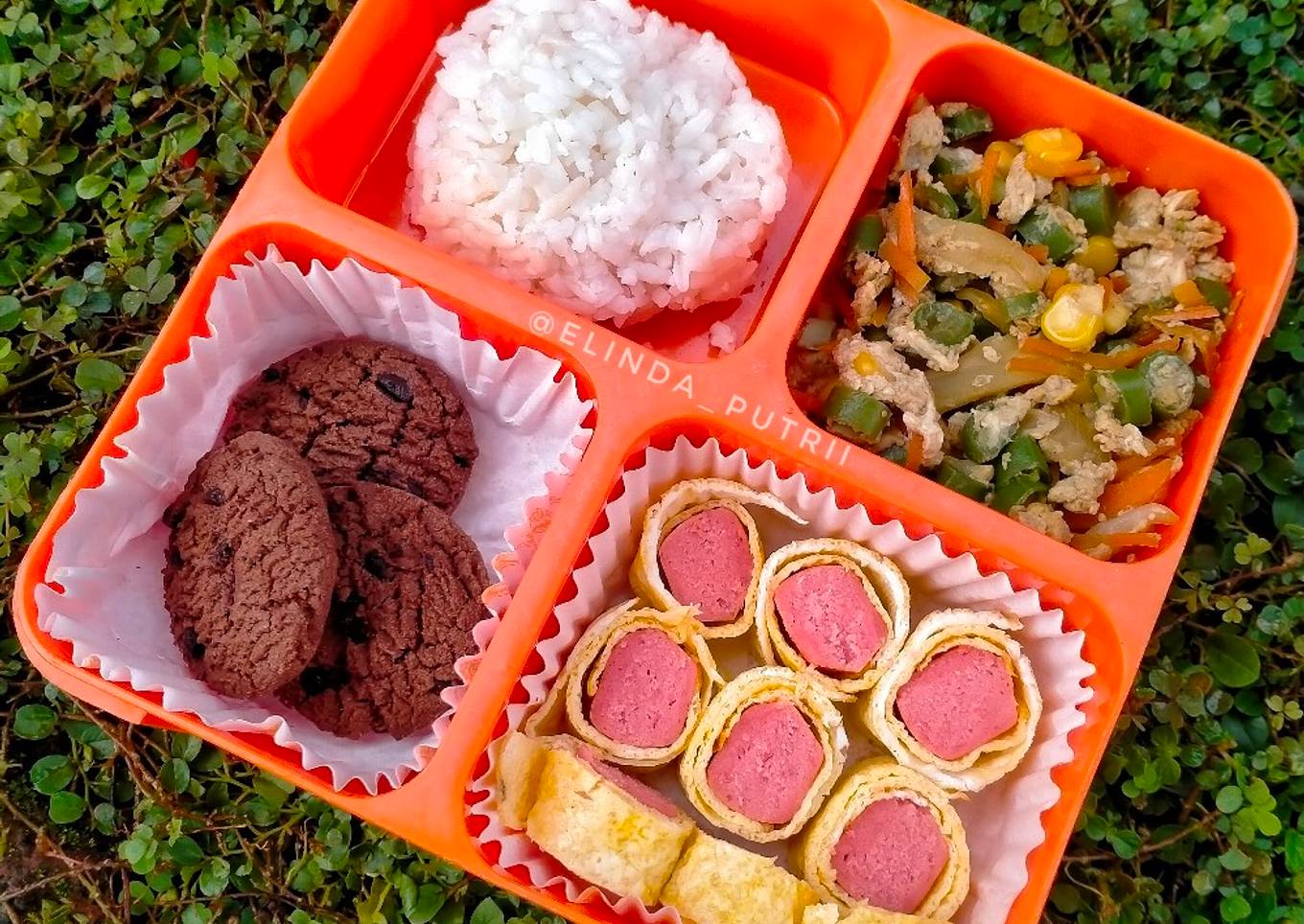 Bekal Anak Sekola (nasi +orak arik sayur+telur gulung+biskuit)