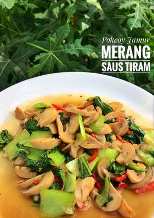 Foto resep Pokcoy Jamur Merang Saus Tiram