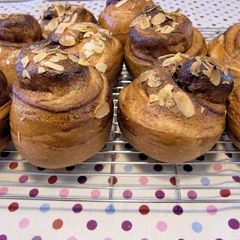 A picture of Rolled and Cut Cinnamon Rolls.