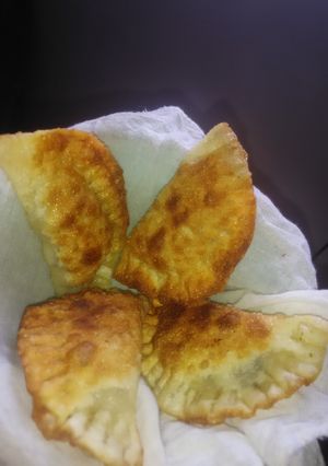 A picture of Vegetarian fried dumplings.