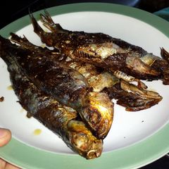 A picture of Sardines in Olive Oil.
