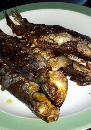 A picture of Sardines in Olive Oil.
