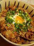 Hearty Pork and Burdock Rice Bowl