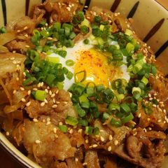 A picture of Hearty Pork and Burdock Rice Bowl.