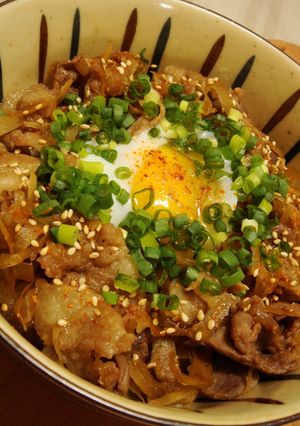 A picture of Hearty Pork and Burdock Rice Bowl.