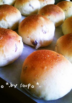 A picture of Doubled Raisin Bread.