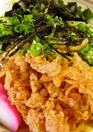 A picture of Chilled Tanuki Udon Noodles with Grated Daikon Radish.