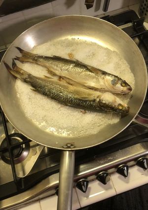 Foto di Cefali sul sale
