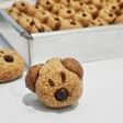 Doggy Cookies