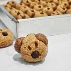 A picture of Doggy Cookies.