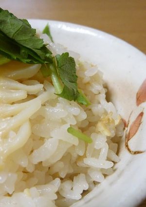 A picture of Easy Bamboo Rice.