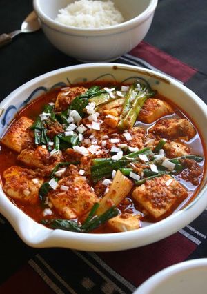A picture of Korean "Red Braised Tofu and Scallion." How Does Cheap, Delicious, and Fast Sound to You?.