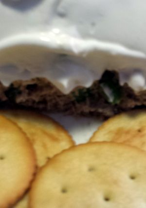 A picture of Chicken Pate Dip.