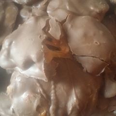 A picture of Cashews turtles.