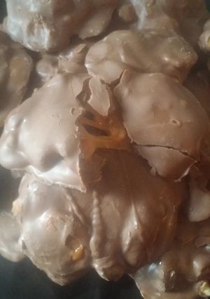 A picture of Cashews turtles.