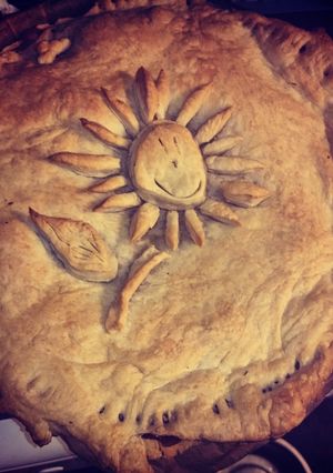 A picture of Homemade chicken and vegetables pie.