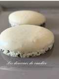 Macaron Shells