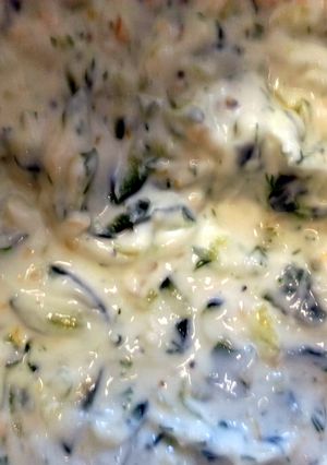 A picture of Tzatziki Sauce.
