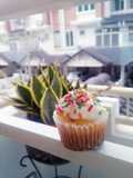 Plain Cupcake