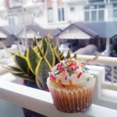 A picture of Plain Cupcake.