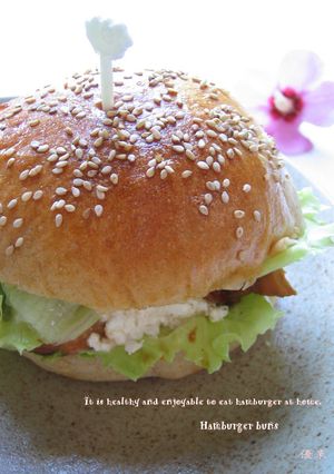 A picture of HB✿American Hamburger Buns.