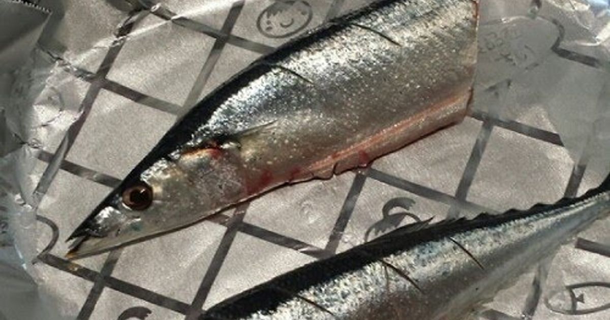 Cooked In A Frying Pan! Plump Salt Grilled Pacific Saury (Sanma) Recipe ...