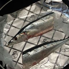 Cooked in a Frying Pan! Plump Salt-Grilled Pacific Saury (Sanma) A picture of Cooked in a Frying Pan! Plump Salt-Grilled Pacific Saury (Sanma).