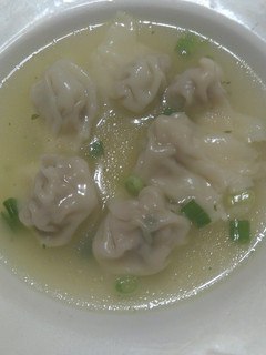 A picture of wonton soup.