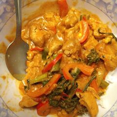 A picture of Yellow Curry (from paste).
