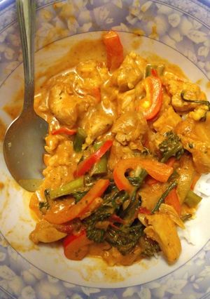 A picture of Yellow Curry (from paste).