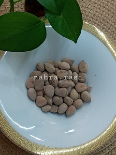 عکسی از دستور بادام شور زرد آلو