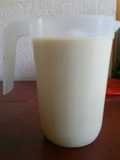 Avena