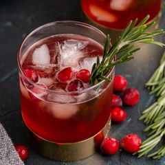 A picture of Cranberry Shrub Syrup and Cocktail.