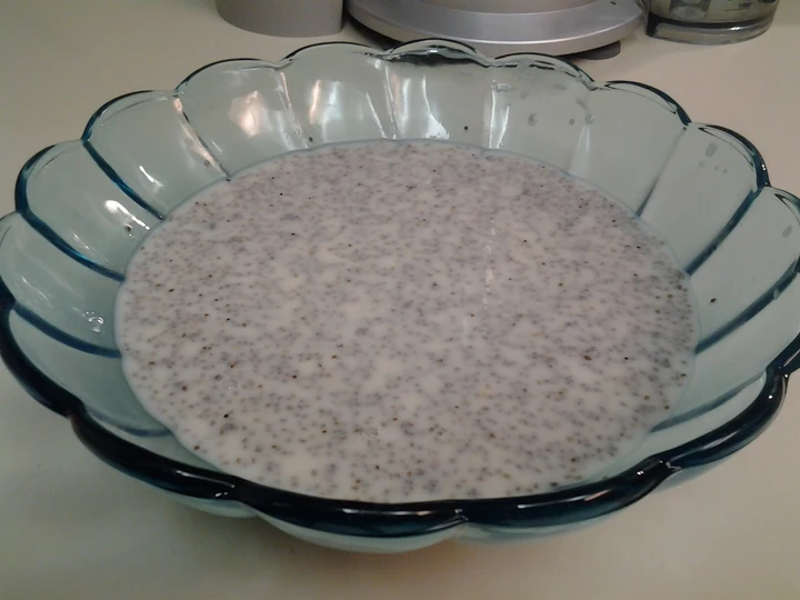 Easy Way Prepare Chia Pudding the Can Spoil the Tongue You can take Joss in your mouth