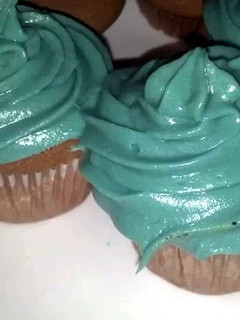 A picture of Moo's Chocolate Cupcakes.
