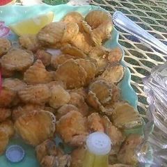 A picture of Bellas fried pickles.