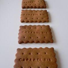 A picture of Crispy Crumbly Caramel Cinnamon Biscuits.