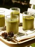 Creamy and Rich Matcha Pudding
