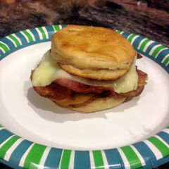 A picture of Breakfast Of Champions!!.