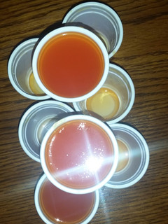 A picture of Orange Creamsicle Jello Shots.