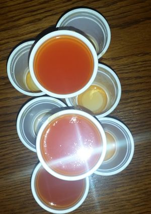 A picture of Orange Creamsicle Jello Shots.