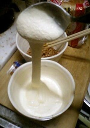 A picture of The Secret to Making Turkish Ice Cream.