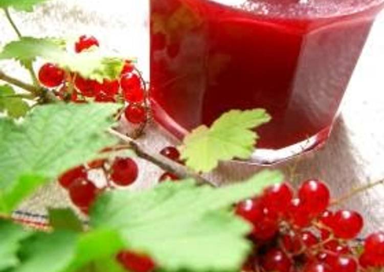 Recipe of Ultimate Red Currant Jam