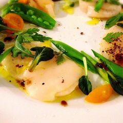 A picture of Torched Scallop Carpaccio.
