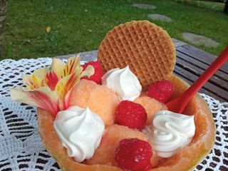Sorbet melon
