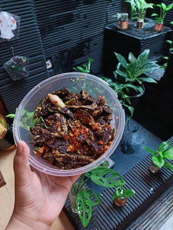 Cara Gampang Membuat Resep Paru rica anti ribet club yang Lezat