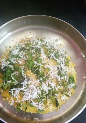 A picture of Instant Khaman Dhokla.